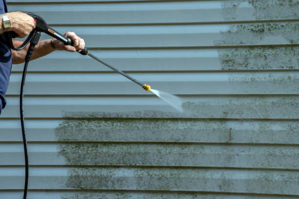 Best Fence Pressure Washing  in Crainvle, IL