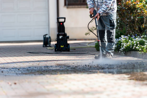 Best Residential Pressure Washing Services  in Crainvle, IL