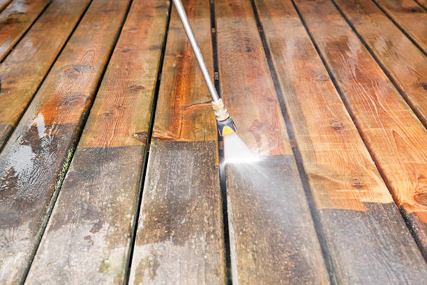 Best Roof Power Washing Services  in Crainvle, IL