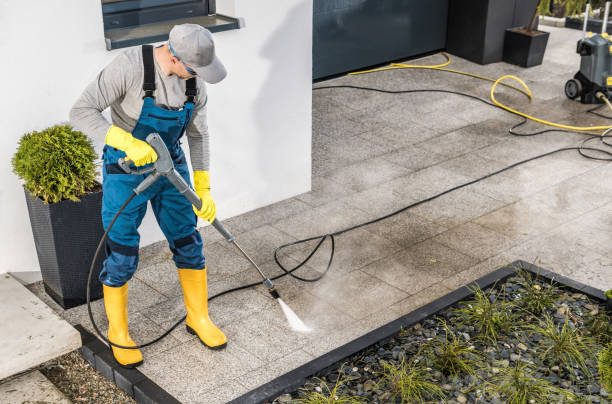 Best Commercial Building Pressure Washing  in Crainvle, IL