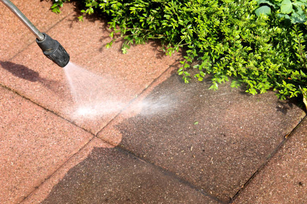 Best Commercial Pressure Washing  in Crainvle, IL